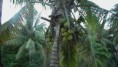 /album/fotky-z-dovoleniek-nasich-klientov/mauritius-jpg1/